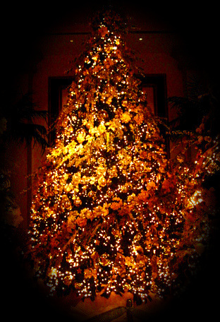 christmas tree