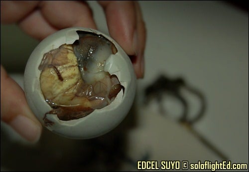 balut eater