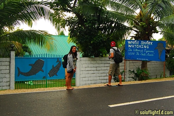 whaleshark oslob